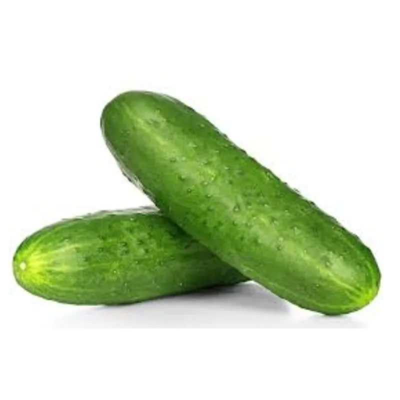 দেশি শসা / (Cucumber)