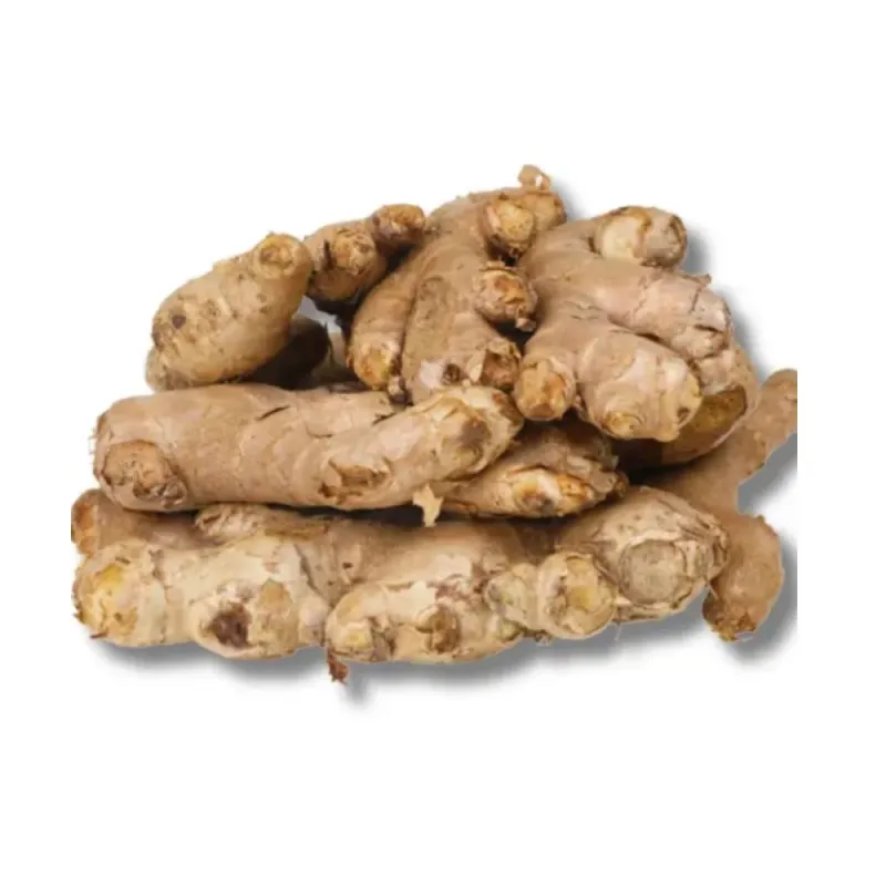 আদা (Ginger)