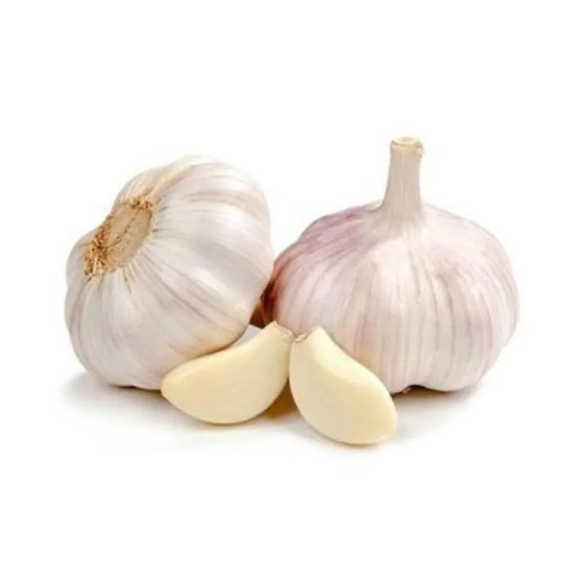 রসুন (Garlic)