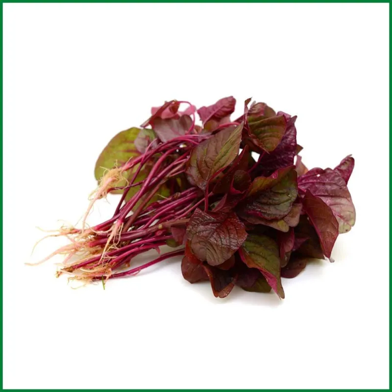 লাল শাক ( Red amaranth)