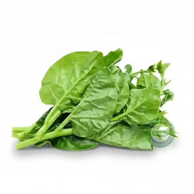পুঁই শাক (Malabar Spinach)