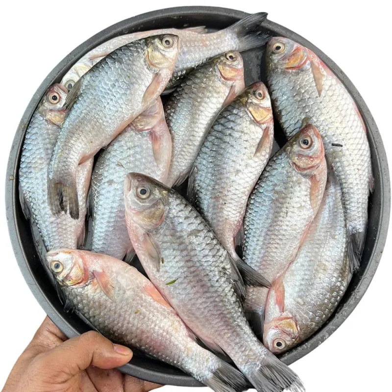 দেশি সরপুঁটি