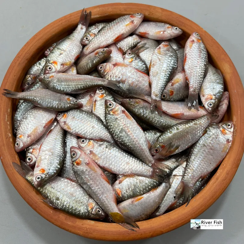 দেশী পুঁটি মাছ