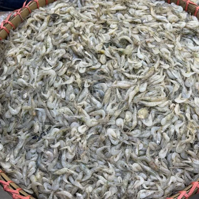 নদীর সবজি চিংড়ি