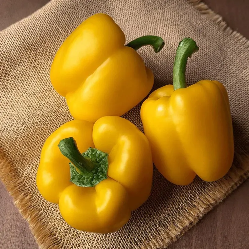 হলুদ ক্যাপসিকাম (Yellow Capsicum)