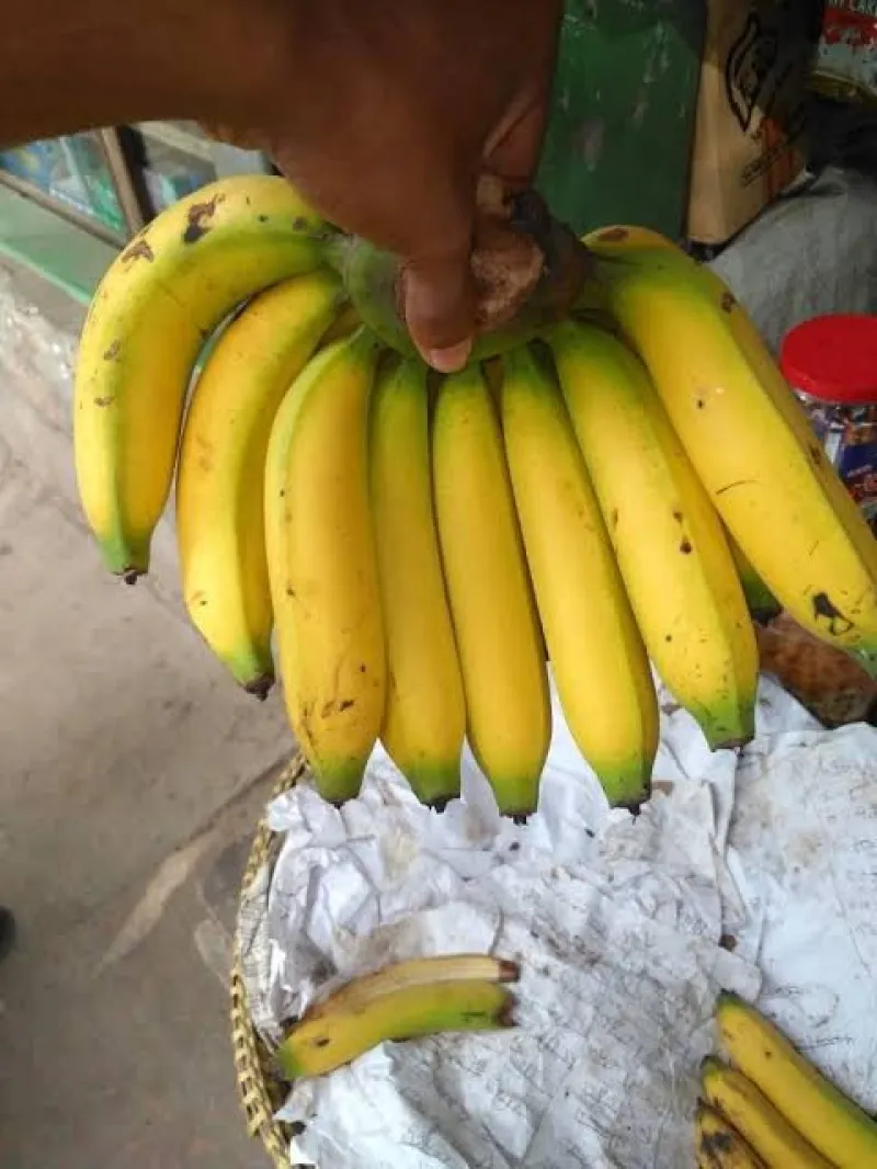 দেশি সাগরকলা (Deshi Shagorkola)