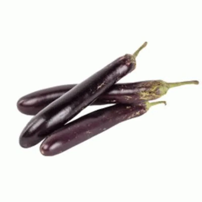 লম্বা বেগুন / (Long Brinjal)
