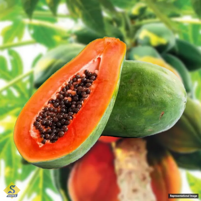 পাকা পেঁপে (Ripe Papaya)