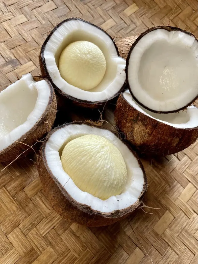 নারকেল (Coconut)