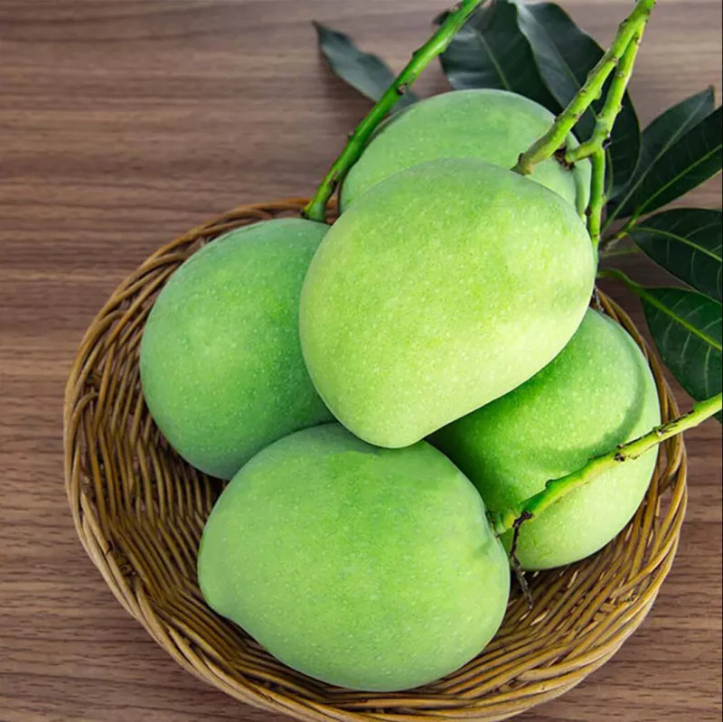 কাঁচা আম (Green Mango)