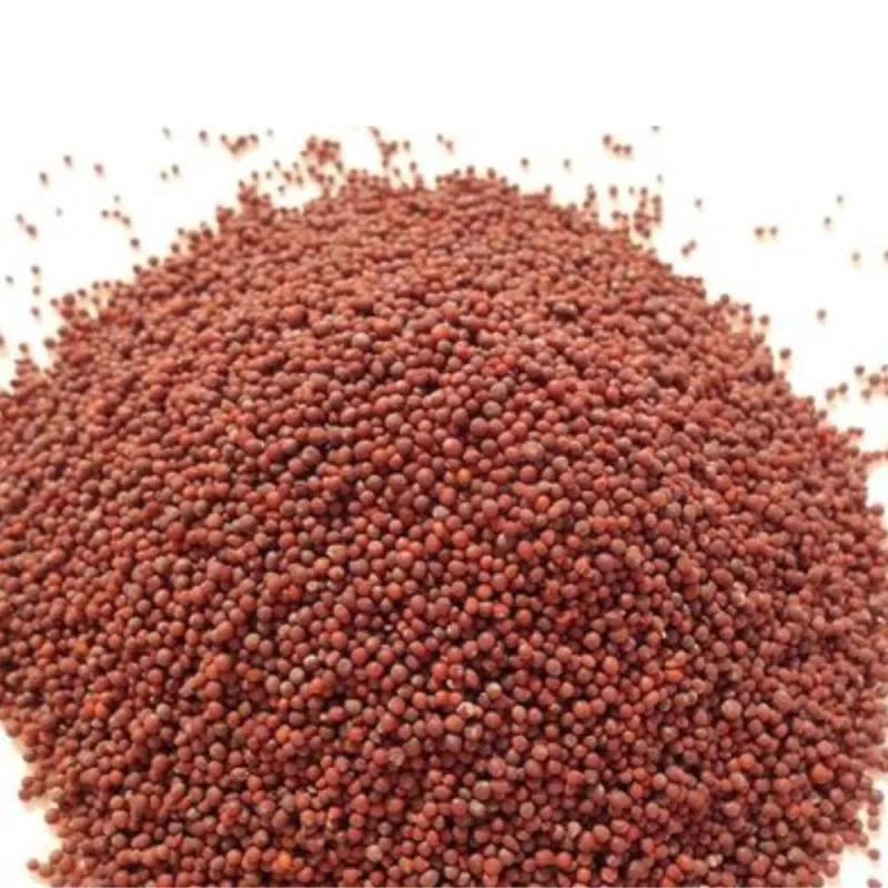 Best Mustard Seed (Red)