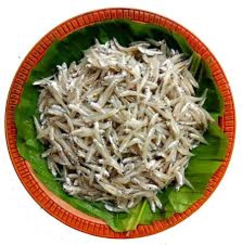 কাচকি মাছ